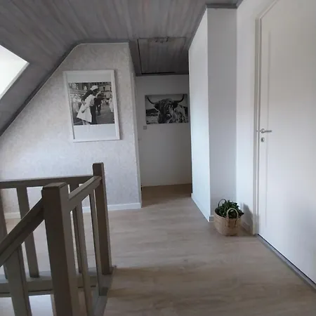 Het Vogelnestje